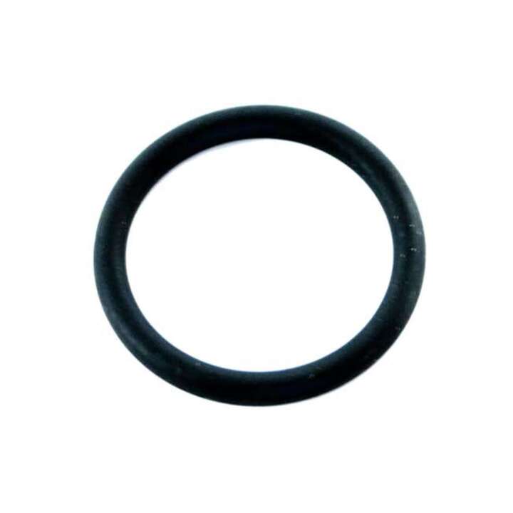 Si Tech O-Ring für Trigon P-Valve