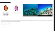 Divevolk - SeaTouch 4 Rot Filter 67mm